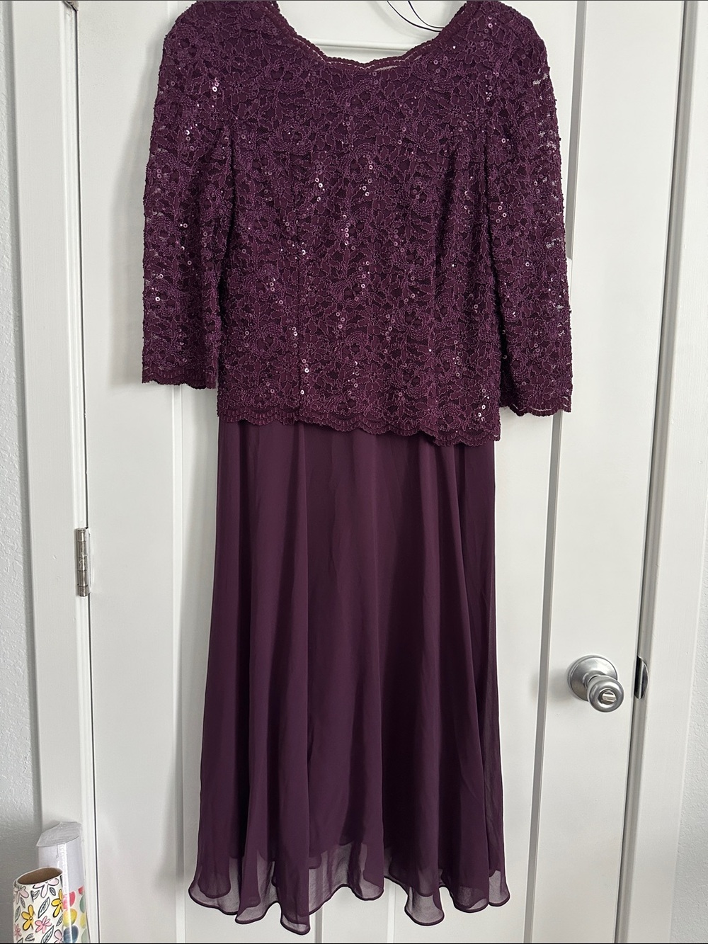 Alex Evenings Lace and Chiffon Evening Dress